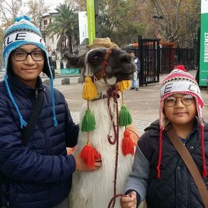 Meet your Posher, Bruce